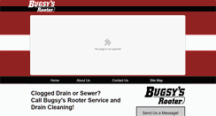 Desktop Screenshot of bugsysrooter.com